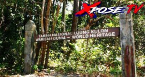 Taman Nasional Ujung Kulon