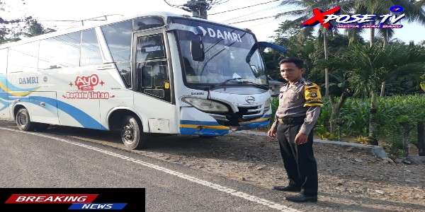 Bus Damri