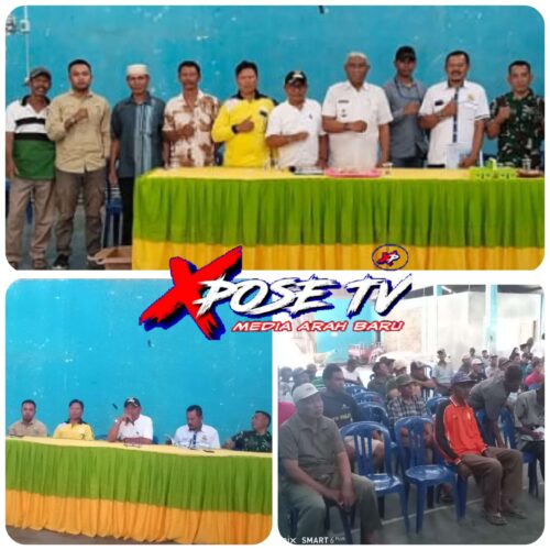 Pembentukan Dan Penyegaran