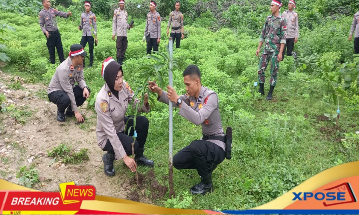 Penamanan 300 Bibit Pohon