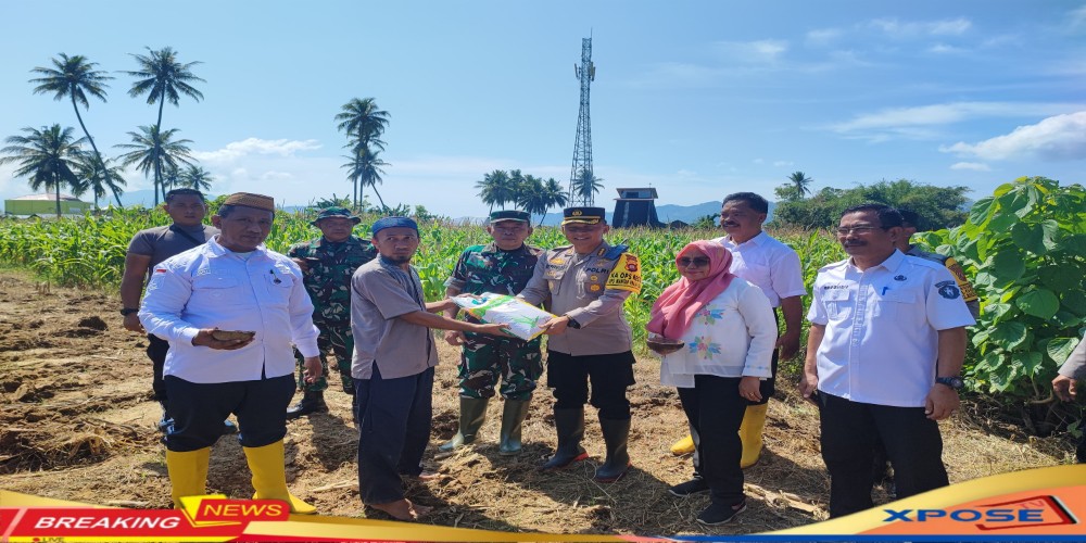 Dukung Ketahanan Pangan, Kapolresta Gorontalo Kota menanam Jagung