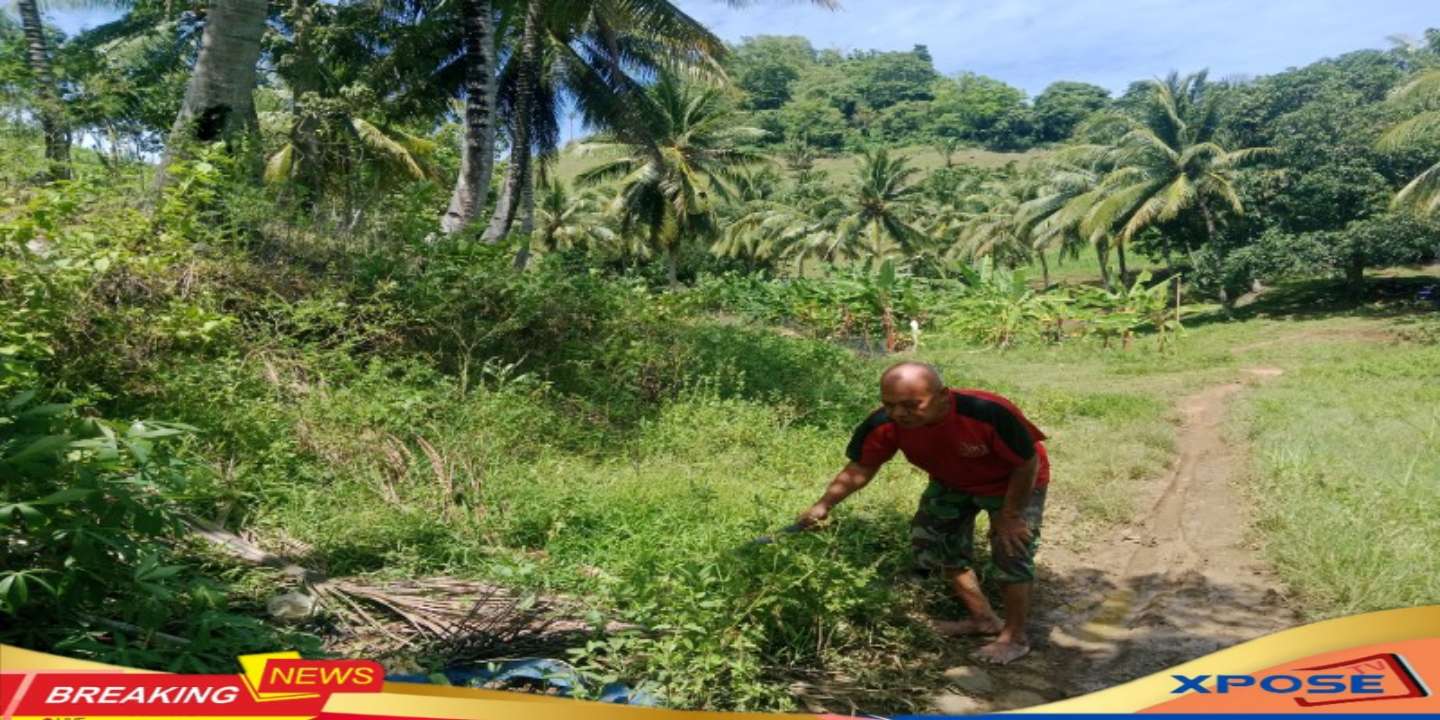 Pemilik Kebun Riko Olii Mempertaruhkan Nyawa