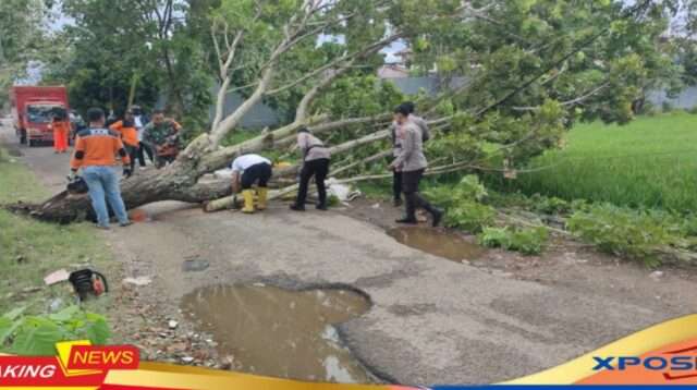 Gerak Cepat Sat Samapta Polresta Gorontalo Kota