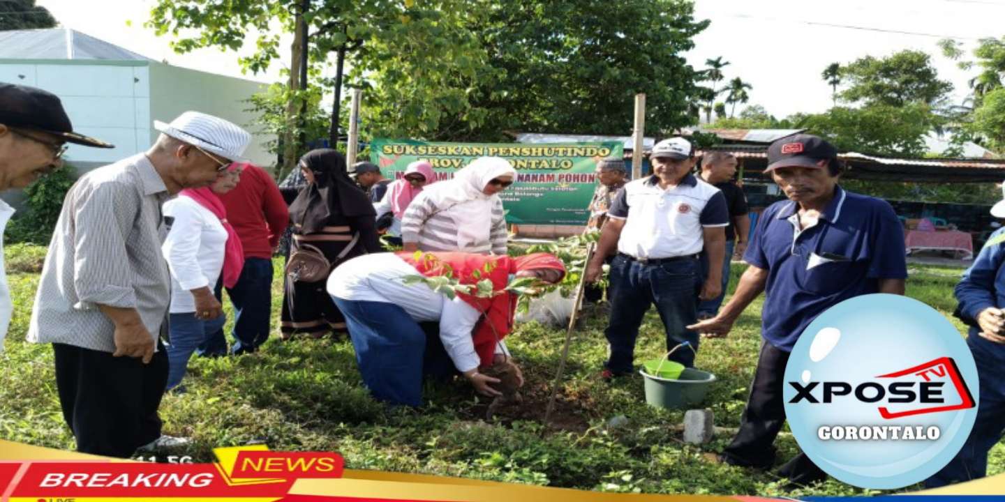 Kegiatan Penanaman Pohon Dengan Tema " Menanam Pohon Menanam Harapan "