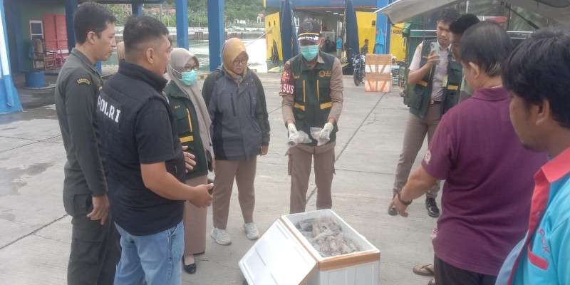 Gabungan Polsek KPG, Balai Karantina dan BPTD Amankan 48 Ekor Tikus,21 Ekor Kelelawar Dan 3 Ekor Musang