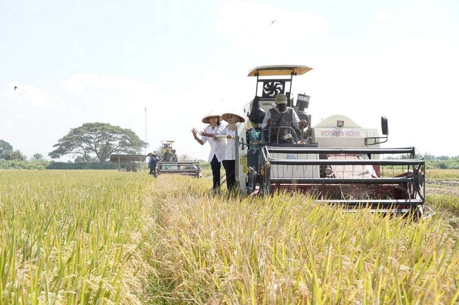 Pemerintah Kabupaten Kediri