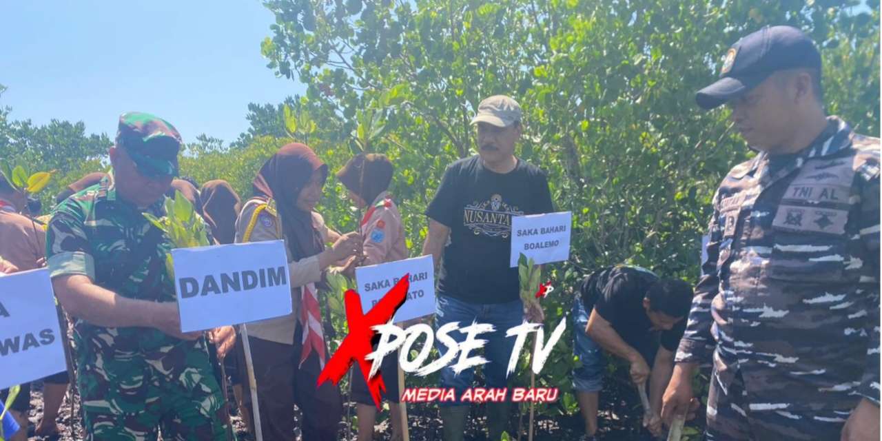 Lanal Gorontalo Tanam 500 Bibit Mangrove di Boalemo dalam Rangka HUT ke-80 TNI