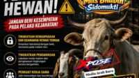 IMG-20260511-WA0094