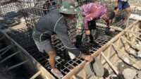IMG-20260513-WA0026