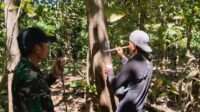 IMG-20260525-WA0062
