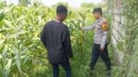 IMG-20260611-WA0266