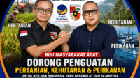 Anggota